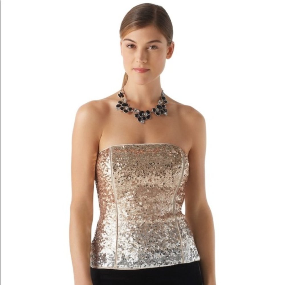 Ombre Mixed Metallic Sequin Bustier Size 4